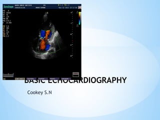 BASIC ECHOCARDIOGRAPHY.pptx............. | PPTX