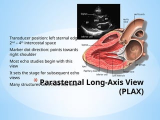 BASIC ECHOCARDIOGRAPHY.pptx............. | PPTX