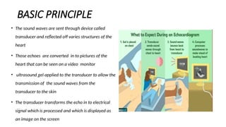 Comprehensive Guide to Basic Echocardiography and Cardiac Disease ...