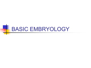 BASIC EMBRYOLOGY
 