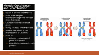 Basic embryology 1- Gametogenesis | PPTX