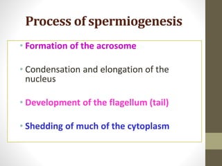 Basic Embryology(1).pdf