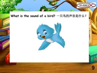 What is the sound of a bird? 一只鸟的声音是什么？
9
 