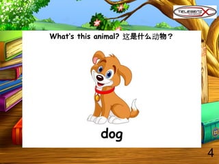 What’s this animal? 这是什么动物？
dog
4
 