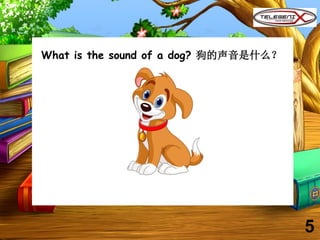 What is the sound of a dog? 狗的声音是什么？
5
 