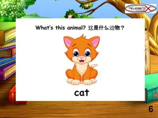 What’s this animal? 这是什么动物？
cat
6
 