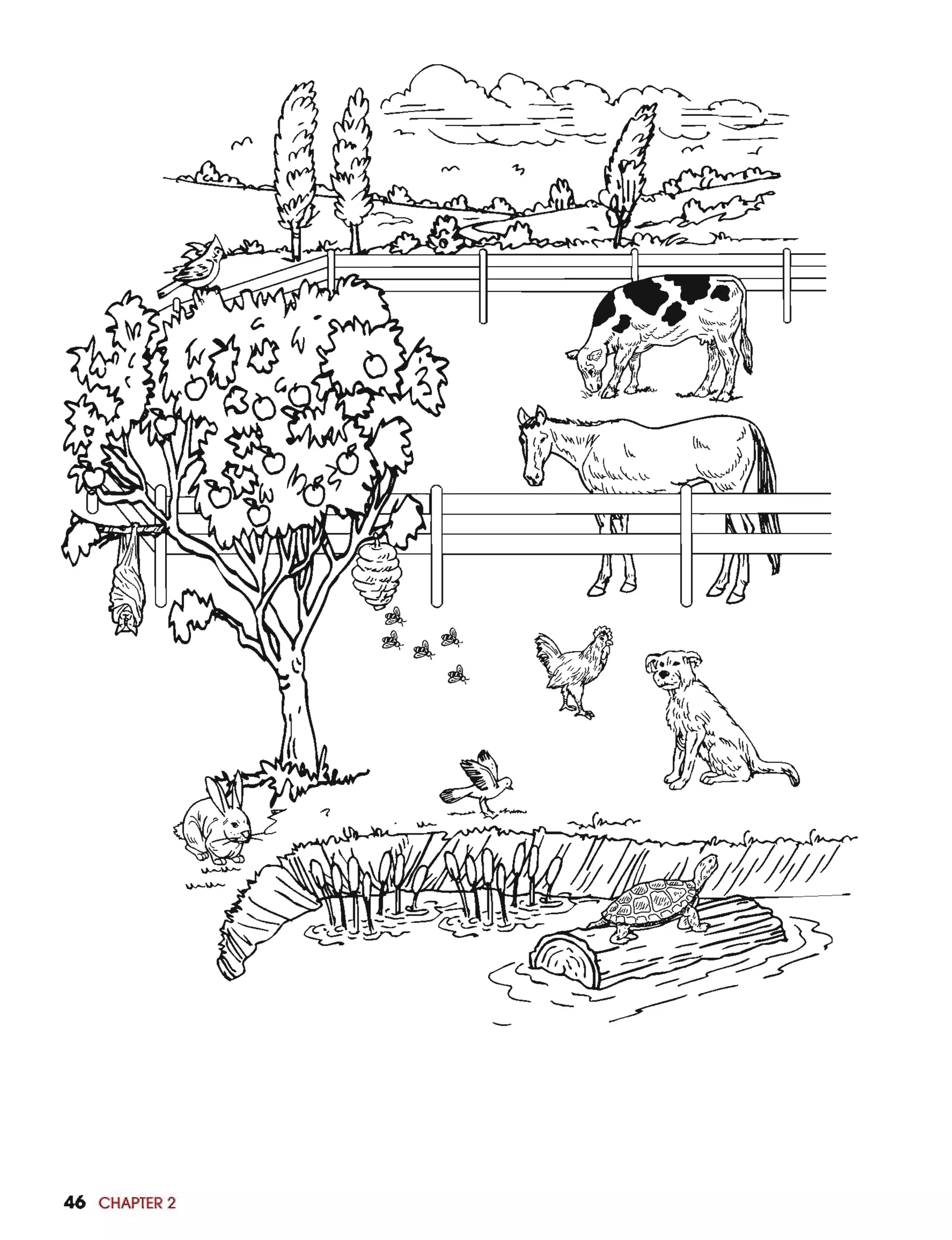 Basic english grammar batty azar