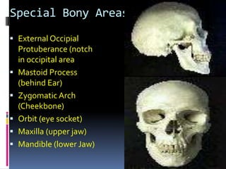 Basic ENT-HNS physical examination | PPTX