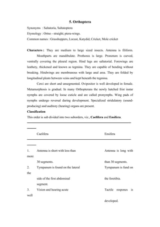 Basic entomology | PDF