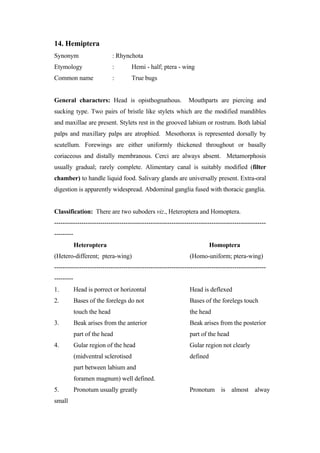 Basic entomology | PDF