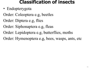 Classification of insects
• Endopterygota
Order: Coleoptera e.g, beetles
Order: Diptera e.g, flies
Order: Siphonaptera e.g, fleas
Order: Lepidoptera e.g, butterflies, moths
Order: Hymenoptera e.g, bees, wasps, ants, etc
11
 