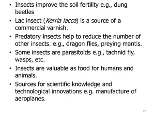 • Insects improve the soil fertility e.g., dung
beetles
• Lac insect (Kerria lacca) is a source of a
commercial varnish.
• Predatory insects help to reduce the number of
other insects. e.g., dragon flies, preying mantis.
• Some insects are parasitoids e.g., tachnid fly,
wasps, etc.
• Insects are valuable as food for humans and
animals.
• Sources for scientific knowledge and
technological innovations e.g. manufacture of
aeroplanes.
29
 