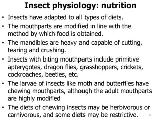 Insect physiology: nutrition
• Insects have adapted to all types of diets.
• The mouthparts are modified in line with the
method by which food is obtained.
• The mandibles are heavy and capable of cutting,
tearing and crushing.
• Insects with biting mouthparts include primitive
apterygotes, dragon flies, grasshoppers, crickets,
cockroaches, beetles, etc.
• The larvae of insects like moth and butterflies have
chewing mouthparts, although the adult mouthparts
are highly modified
• The diets of chewing insects may be herbivorous or
carnivorous, and some diets may be restrictive. 30
 