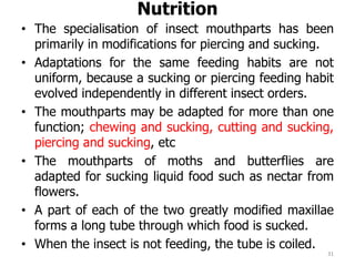 Nutrition
• The specialisation of insect mouthparts has been
primarily in modifications for piercing and sucking.
• Adaptations for the same feeding habits are not
uniform, because a sucking or piercing feeding habit
evolved independently in different insect orders.
• The mouthparts may be adapted for more than one
function; chewing and sucking, cutting and sucking,
piercing and sucking, etc
• The mouthparts of moths and butterflies are
adapted for sucking liquid food such as nectar from
flowers.
• A part of each of the two greatly modified maxillae
forms a long tube through which food is sucked.
• When the insect is not feeding, the tube is coiled.
31
 