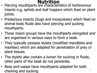 Nutrition
• Piercing mouthparts are characteristics of herbivorous
insects e.g, aphids and leaf hoppers which feed on plant
juices.
• Predacious insects (bugs and mosquitoes) which feed on
animal body fluids also have piercing and sucking
mouthparts.
• These insect groups have the mouthparts elongated and
are organised in various ways to form a beak.
• They typically possess stylets (modified mandibles and
maxillae) which are adapted for penetration of prey or
plant tissues.
• The stylets also contain a lumen for sucking in fluids;
other parts of the beak do not penetrate.
• Bees and wasps have mouthparts adapted for both
chewing and sucking.
32
 