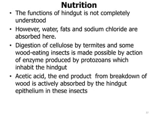 Nutrition
• The functions of hindgut is not completely
understood
• However, water, fats and sodium chloride are
absorbed here.
• Digestion of cellulose by termites and some
wood-eating insects is made possible by action
of enzyme produced by protozoans which
inhabit the hindgut
• Acetic acid, the end product from breakdown of
wood is actively absorbed by the hindgut
epithelium in these insects
37
 