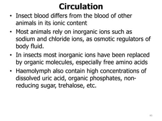 Circulation
• Insect blood differs from the blood of other
animals in its ionic content
• Most animals rely on inorganic ions such as
sodium and chloride ions, as osmotic regulators of
body fluid.
• In insects most inorganic ions have been replaced
by organic molecules, especially free amino acids
• Haemolymph also contain high concentrations of
dissolved uric acid, organic phosphates, non-
reducing sugar, trehalose, etc.
40
 