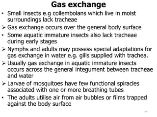 Gas exchange
• Small insects e.g collembolans which live in moist
surroundings lack tracheae
 Gas exchange occurs over the general body surface
• Some aquatic immature insects also lack tracheae
during early stages
 Nymphs and adults may possess special adaptations for
gas exchange in water e.g. gills supplied with trachea.
 Usually gas exchange in aquatic immature insects
occurs across the general integument between tracheae
and water
 Larvae of mosquitoes have few functional spiracles
associated with one or more breathing tubes
• The adults utilise air from air bubbles or films trapped
against the body surface
44
 