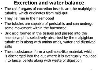 Excretion and water balance
• The chief organs of excretion insects are the malphigian
tubules, which originates from mid-gut
• They lie free in the haemocoel
• The tubules are capable of peristalsis and can undergo
some movement within the haemocoel
• Uric acid formed in the tissues and passed into the
haemolymph is selectively absorbed by the malpighian
tubule cells along with amino acids, water and dissolved
salts
• These substances form a sediment-like material, which
is discharged into the gut where it is eventually moulded
into faecel pellets along with waste of digestion
45
 
