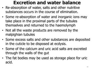 Excretion and water balance
• Re-absorption of water, salts and other nutritive
substances occurs in the course of elimination.
• Some re-absorption of water and inorganic ions may
take place in the proximal parts of the tubules
themselves and returned to the haemolymph
• Not all the waste products are removed by the
malpighian tubules
• Some excess salts and other substances are deposited
in the cuticle to be disposed at ecdysis.
• Some of the calcium and uric acid salts are excreted
through the walls of the gut
• The fat bodies may be used as storage place for uric
acid.
46
 