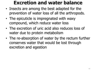 Excretion and water balance
• Insects are among the best adapted for the
prevention of water loss of all the arthropods.
• The epicuticle is impregnated with waxy
compound, which reduce water loss
• The excretion of uric acid also reduces loss of
water due to protein metabolism
• The re-absorption of water by the rectum further
conserves water that would be lost through
excretion and egestion
47
 