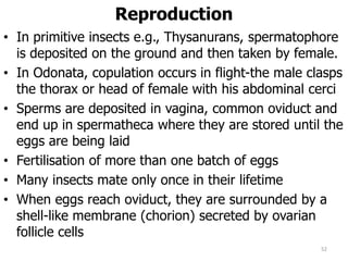 Reproduction
• In primitive insects e.g., Thysanurans, spermatophore
is deposited on the ground and then taken by female.
• In Odonata, copulation occurs in flight-the male clasps
the thorax or head of female with his abdominal cerci
• Sperms are deposited in vagina, common oviduct and
end up in spermatheca where they are stored until the
eggs are being laid
• Fertilisation of more than one batch of eggs
• Many insects mate only once in their lifetime
• When eggs reach oviduct, they are surrounded by a
shell-like membrane (chorion) secreted by ovarian
follicle cells
52
 