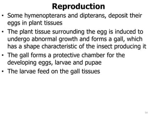 Reproduction
• Some hymenopterans and dipterans, deposit their
eggs in plant tissues
• The plant tissue surrounding the egg is induced to
undergo abnormal growth and forms a gall, which
has a shape characteristic of the insect producing it
• The gall forms a protective chamber for the
developing eggs, larvae and pupae
• The larvae feed on the gall tissues
54
 