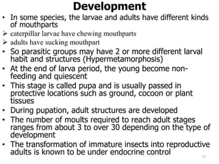 Development
• In some species, the larvae and adults have different kinds
of mouthparts
 caterpillar larvae have chewing mouthparts
 adults have sucking mouthpart
• So parasitic groups may have 2 or more different larval
habit and structures (Hypermetamorphosis)
• At the end of larva period, the young become non-
feeding and quiescent
• This stage is called pupa and is usually passed in
protective locations such as ground, cocoon or plant
tissues
• During pupation, adult structures are developed
• The number of moults required to reach adult stages
ranges from about 3 to over 30 depending on the type of
development
• The transformation of immature insects into reproductive
adults is known to be under endocrine control 57
 