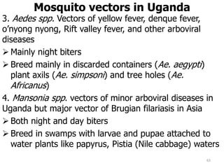 Mosquito vectors in Uganda
3. Aedes spp. Vectors of yellow fever, denque fever,
o’nyong nyong, Rift valley fever, and other arboviral
diseases
 Mainly night biters
 Breed mainly in discarded containers (Ae. aegypti)
plant axils (Ae. simpsoni) and tree holes (Ae.
Africanus)
4. Mansonia spp. vectors of minor arboviral diseases in
Uganda but major vector of Brugian filariasis in Asia
 Both night and day biters
 Breed in swamps with larvae and pupae attached to
water plants like papyrus, Pistia (Nile cabbage) waters
63
 