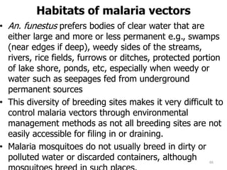 Habitats of malaria vectors
• An. funestus prefers bodies of clear water that are
either large and more or less permanent e.g., swamps
(near edges if deep), weedy sides of the streams,
rivers, rice fields, furrows or ditches, protected portion
of lake shore, ponds, etc, especially when weedy or
water such as seepages fed from underground
permanent sources
• This diversity of breeding sites makes it very difficult to
control malaria vectors through environmental
management methods as not all breeding sites are not
easily accessible for filing in or draining.
• Malaria mosquitoes do not usually breed in dirty or
polluted water or discarded containers, although 66
 