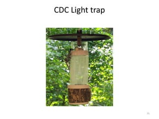 CDC Light trap
75
 