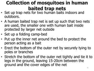 Collection of mosquitoes in human
baited trap nets
• Set up trap nets for two human baits indoors and
outdoors.
• A human baited trap net is set up such that two nets
are used, the smaller one with human bait inside
protected by larger net outside
• Set up a folding camp-bed
• Put up the inner net around the bed to protect the
person acting as a bait
• Erect the bottom of the outer net by securely tying to
poles or branches
• Stretch the bottom of the outer net tightly and tie it to
legs in the ground, leaving 15-20cm between the
ground and the cover edges of the net
76
 