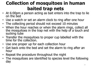 Collection of mosquitoes in human
baited trap nets
• At 6:00pm a person acting as bait enters into the trap to lie
on the bed
• Use a watch or set an alarm clock to ring after one hour
• The collecting period should not exceed 10 minutes
• When the hour reaches or when the alarm rings, collect all
the mosquitoes in the trap net with the help of a touch and
sucking tube
• Transfer the mosquitoes to proper cup labelled with the
time for the collection.
• Use one proper up for each collection hour
• Get back onto the bed and set the alarm to ring after an
hour
• Repeat the procedure throughout the night
• The mosquitoes are identified to species level the following
day
77
 