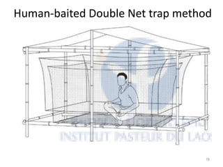 Human-baited Double Net trap method
78
 