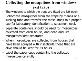 Collecting the mosquitoes from windows
exit traps
• The windows to which the traps are fitted are left open
• Collect the mosquitoes from the traps by means of a
sucking tube and transfer the mosquitoes to a proper
cup for laboratory identification to specimen level.
• Separate containers should be used for mosquitoes
collected from each house, and dead and live
mosquitoes kept separated
• When mosquitoes are collected from houses that
have been sprayed with insecticide those that are
alive should be kept for 24 hours
• Label the paper cups containing the collected
mosquitoes carefully 80
 