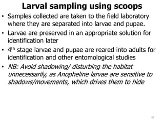 Larval sampling using scoops
• Samples collected are taken to the field laboratory
where they are separated into larvae and pupae.
• Larvae are preserved in an appropriate solution for
identification later
• 4th stage larvae and pupae are reared into adults for
identification and other entomological studies
• NB: Avoid shadowing/ disturbing the habitat
unnecessarily, as Anopheline larvae are sensitive to
shadows/movements, which drives them to hide
83
 