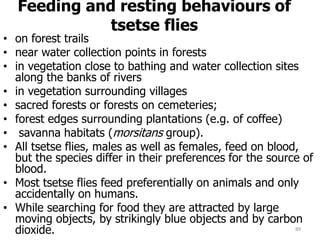 Feeding and resting behaviours of
tsetse flies
• on forest trails
• near water collection points in forests
• in vegetation close to bathing and water collection sites
along the banks of rivers
• in vegetation surrounding villages
• sacred forests or forests on cemeteries;
• forest edges surrounding plantations (e.g. of coffee)
• savanna habitats (morsitans group).
• All tsetse flies, males as well as females, feed on blood,
but the species differ in their preferences for the source of
blood.
• Most tsetse flies feed preferentially on animals and only
accidentally on humans.
• While searching for food they are attracted by large
moving objects, by strikingly blue objects and by carbon
dioxide. 89
 