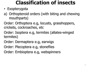 Classification of insects
• Exopterygota
a) Orthopteroid orders (with biting and chewing
mouthparts)
Order: Orthoptera e.g, locusts, grasshoppers,
crickets, cockroaches, etc
Order: Isoptera e.g, termites (allates-winged
termites)
Order: Dermaptera e.g, earwigs
Order: Plecoptera e.g, stoneflies
Order: Embioptera e.g, webspinners
9
 