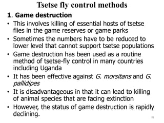 Tsetse fly control methods
1. Game destruction
• This involves killing of essential hosts of tsetse
flies in the game reserves or game parks
• Sometimes the numbers have to be reduced to
lower level that cannot support tsetse populations
• Game destruction has been used as a routine
method of tsetse-fly control in many countries
including Uganda
• It has been effective against G. morsitans and G.
pallidipes
• It is disadvantageous in that it can lead to killing
of animal species that are facing extinction
• However, the status of game destruction is rapidly
declining. 91
 