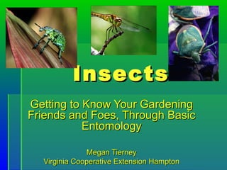 InsectsInsects
Getting to Know Your GardeningGetting to Know Your Gardening
Friends and Foes, Through BasicFriends and Foes, Through Basic
EntomologyEntomology
Megan TierneyMegan Tierney
Virginia Cooperative Extension HamptonVirginia Cooperative Extension Hampton
 