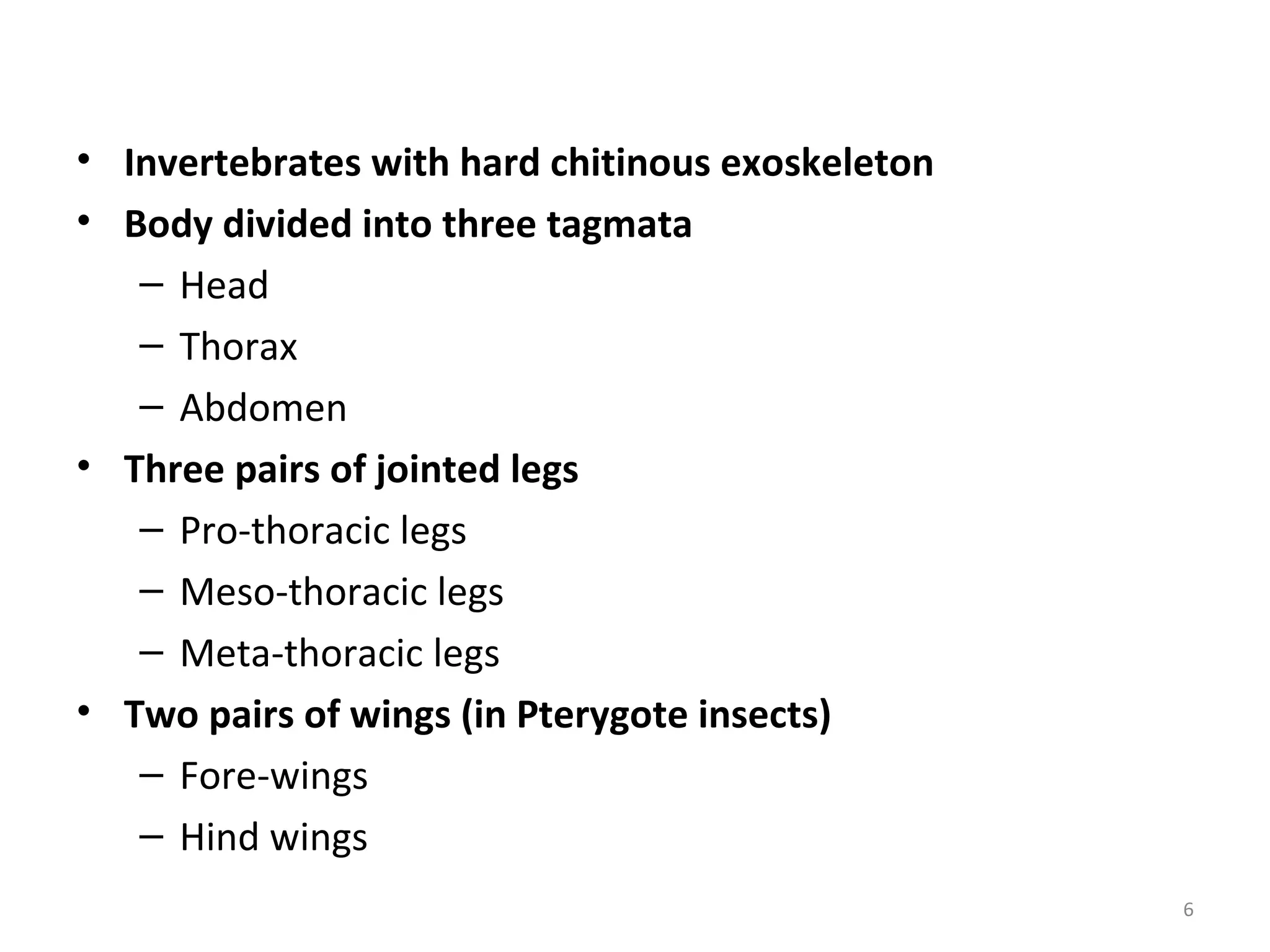 Basic Entomology - External Features of Insects | PPT