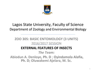 Lagos State University, Faculty of Science
Department of Zoology and Environmental Biology
ZOO 305: BASIC ENTOMOLOGY (3 UNITS)
2016/2017 SESSION
EXTERNAL FEATURES OF INSECTS
The Team:
Abiodun A. Denloye, Ph. D ; Oyindamola Alafia,
Ph. D; Oluwakemi Ajelara, M. Sc.
1
 