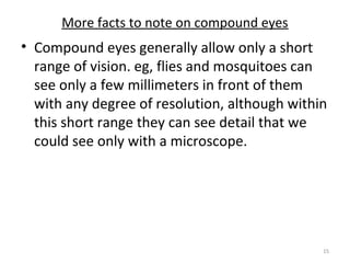 More facts to note on compound eyes
• Compound eyes generally allow only a short
range of vision. eg, flies and mosquitoes can
see only a few millimeters in front of them
with any degree of resolution, although within
this short range they can see detail that we
could see only with a microscope.
15
 