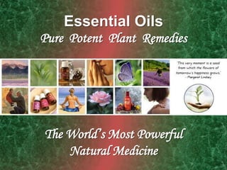 Essential Oils
Pure Potent Plant Remedies
The World’s Most Powerful
Natural Medicine
 