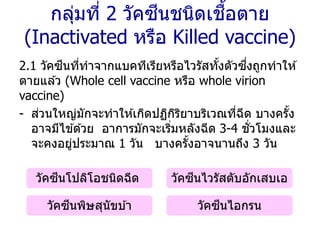 กลุ่มที่ 2 วัคซีนชนิดเชื้อตาย
(Inactivated หรือ Killed vaccine)
2.1 วัคซีนที่ทาจากแบคทีเรียหรือไวรัสทั้งตัวซึ่งถูกทาให ้
ตายแล ้ว (Whole cell vaccine หรือ whole virion
vaccine)
- ส่วนใหญ่มักจะทาให ้เกิดปฏิกิริยาบริเวณที่ฉีด บางครั้ง
อาจมีไข ้ด ้วย อาการมักจะเริ่มหลังฉีด 3-4 ชั่วโมงและ
จะคงอยู่ประมาณ 1 วัน บางครั้งอาจนานถึง 3 วัน
วัคซีนโปลิโอชนิดฉีด วัคซีนไวรัสตับอักเสบเอ
วัคซีนพิษสุนัขบ ้า วัคซีนไอกรน
 