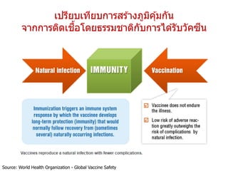 เปรียบเทียบการสร ้างภูมิคุ้มกัน
จากการติดเชื้อโดยธรรมชาติกับการได ้รับวัคซีน
Source: World Health Organization - Global Vaccine Safety
 