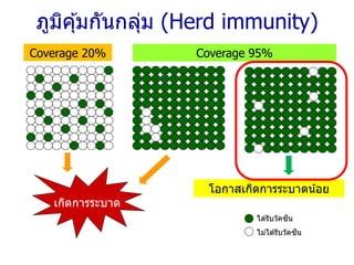 ภูมิคุ้มกันกลุ่ม (Herd immunity)
Coverage 20% Coverage 95%
เกิดการระบาด
โอกาสเกิดการระบาดน้อย
ได ้รับวัคซีน
ไม่ได ้รับวัคซีน
 