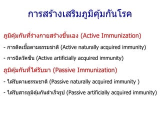 ภูมิคุ้มกันที่ร่างกายสร ้างขึ้นเอง (Active Immunization)
- การติดเชื้อตามธรรมชาติ (Active naturally acquired immunity)
- การฉีดวัคซีน (Active artificially acquired immunity)
ภูมิคุ้มกันที่ได ้รับมา (Passive Immunization)
- ได ้รับตามธรรมชาติ (Passive naturally acquired immunity )
- ได ้รับสารภูมิคุ้มกันสาเร็จรูป (Passive artificially acquired immunity)
การสร ้างเสริมภูมิคุ้มกันโรค
 