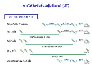 ไม่เคยได ้รับ / ไม่ทราบ
ได ้1 ครั้ง
1 เดือน 6 เดือน
ได ้2 ครั้ง
ได ้3 ครั้ง
DTP-HB / DTP / dT / TT
6 เดือน
10 ปี
กระตุ ้น
10 ปี
กระตุ ้น
10 ปี
กระตุ ้น
ห่างกันอย่างน้อย 1 เดือน
ห่างกันอย่างน้อย 6 เดือน
กระตุ ้น
กระตุ้น 10 ปี
เคยได ้รับแต่ไม่ทราบกี่ครั้ง
6 เดือน 10 ปี
กระตุ ้น
การให ้วัคซีนในหญิงมีครรภ์ (dT)
 