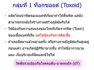 - ผลิตโดยนาพิษของแบคทีเรียมาทาให ้สิ้นพิษ แต่ยัง
สามารถกระตุ้นให ้ร่างกายสร ้างภูมิคุ้มกันได ้
- ใช ้ป้องกันความรุนแรงของโรคที่เกิดจากพิษ (Toxin)
ของเชื้อแบคทีเรีย แต่ไม่ป้องกันการติดเชื้อ
- ถ ้าเคยฉีดมาแล ้วหลายครั้ง หรือร่างกายมีภูมิคุ้มกันสูงอยู่
ก่อนแล ้ว อาจเกิดปฏิกิริยามากขึ้น ทาให ้มีอาการบวม
แดง เจ็บบริเวณที่ฉีดและมีไข ้ได ้
กลุ่มที่ 1 ท็อกซอยด์ (Toxoid)
วัคซีนรวมป้องกันโรคคอตีบ-บาดทะยัก (dT)
 
